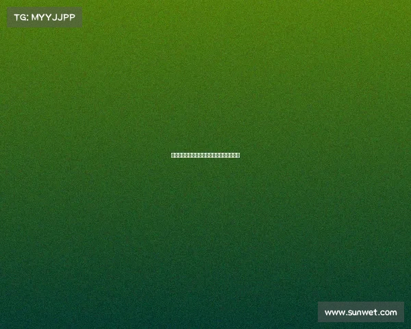 足球转会市场价格波动分析及其背后因素解读